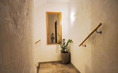 See 101: Plant, Flowerpot, Building, Houseplant, Wood, Floor, House, Flooring, Wall, Ceiling