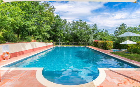 Il Cinghiale: Water, Cloud, Property, Plant, Sky, Swimming Pool, Nature, Rectangle, Azure, Tree