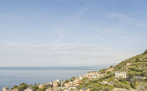Pieve Ligure Seaside View, Wifi: Blue, Water, Building, Residential Area, Horizon, Coast, Sea, Summer, Coastal And Oceanic Landforms, House
