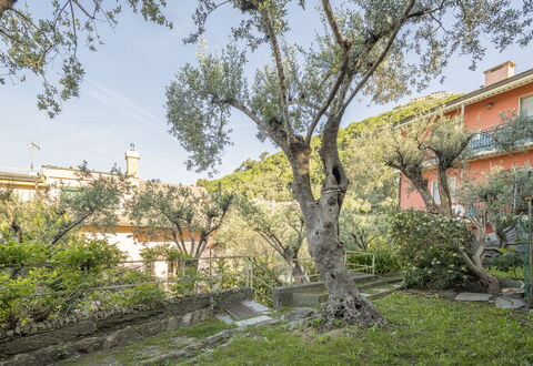 Pieve Ligure Seaside View, Wifi: Leaf, Branch, Vegetation, Shrub, Spring, Twig, Garden, Estate, Yard, Landscaping