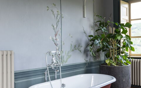B&b Vigne Di Fagnano Without Kitchen: Plant, Bathtub, Property, Window, Plumbing Fixture, Lighting, Interior Design, Rectangle, Bathroom
