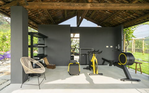 B&b Vigne Di Fagnano Without Kitchen: Plant, Shade, Interior Design, Wood, Floor, Leisure, Flooring, Chair, Tree, Beam