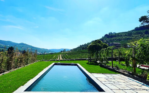 B&b Vigne Di Fagnano Without Kitchen: Water, Sky, Plant, Azure, Natural Landscape, Swimming Pool, Tree, Rectangle, Body Of Water, Cloud
