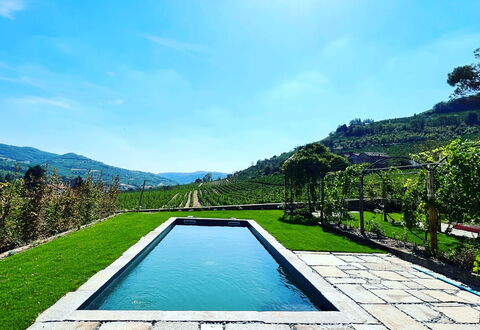 B&b Vigne Di Fagnano Without Kitchen: Water, Sky, Plant, Azure, Natural Landscape, Swimming Pool, Tree, Rectangle, Body Of Water, Cloud