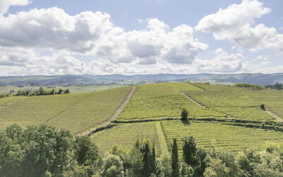 Arpusè, Relax nelle Langhe - Barolo, with Pool
