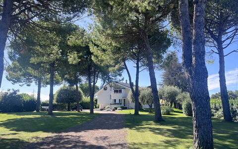 Villapronti: Leaf, Tree, Branch, Trunk, Shade, Lawn, Garden, Woody Plant, Landscaping, Park