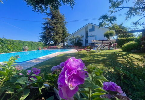 Villapronti: Flower, Plant, Sky, Plant Community, Botany, Leaf, Purple, Vegetation, Natural Landscape, Petal