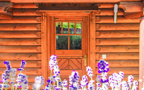 Chalet Sept: Furniture, Couch, Comfort, Shade, Interior Design, Table, Living Room, Window, Floor, Plant