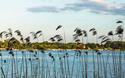 Bootshaus auf Dem See: Lake, Marsh, Reservoir, Reflection