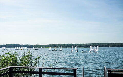 Bootshaus auf Dem See: Sky, Plant, Building, Window, Tree, Wood, Land Lot, Cottage, House, Landscape