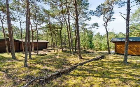 Sonya - 350M from the Sea: Tree, Wood, Land Lot, Rural Area, Cottage, Forest, Woodland, Trunk, Garden Buildings, Shed