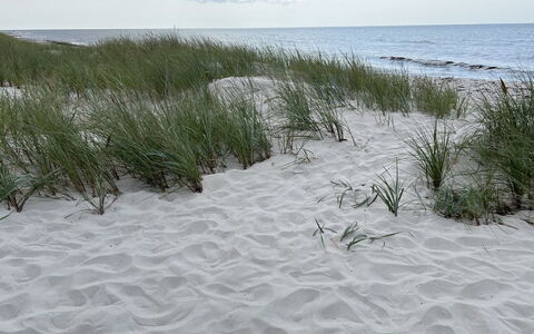 Sonya - 350M from the Sea: Natural Environment, Sand, Beach, Shore, Coast, Winter, Snow
