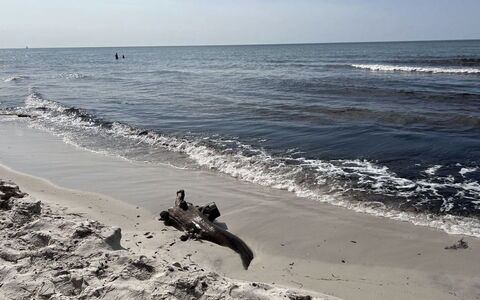 Sonya - 350M from the Sea: Body Of Water, Beach, Wave, Coast, Shore, Sea, Coastal And Oceanic Landforms, Wind Wave