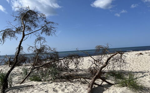 Sonya - 350M from the Sea: Blue, Natural Environment, Beach, Sand, Coast, Shore, Coastal And Oceanic Landforms, Sea, Ocean, Tropics