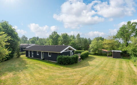 Anneli: Building, House, Window, Home, Roof, Residential Area, Shrub, Cottage, Land Lot