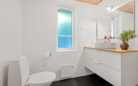 Trena - 1.2Km to the Fjord: Plumbing Fixture, Flooring, Floor, Interior Design, Wood, Bathroom Sink, Sink, Toilet, Bathroom Cabinet, Bathroom