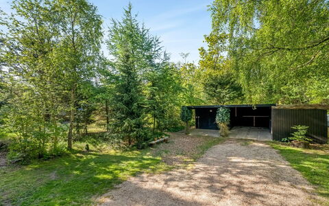 Kadife - from the Sea: Grass, Grassland, Landscape, Ecoregion, Plain, Plant Community, Land Lot, Outdoor Furniture, Prairie, Shrubland