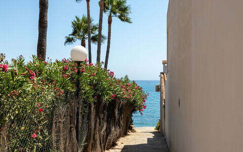 Pia'S Sea Dream: Green, Leaf, Plant, Tree, Biome, Grass, Leisure, Woody Plant, Urban Design, Tints And Shades