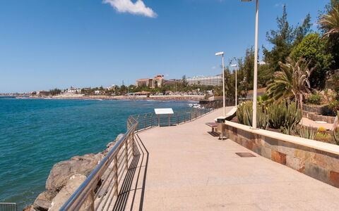 San Agustin Et2: Green, Leaf, Plant, Tree, Biome, Grass, Leisure, Woody Plant, Urban Design, Tints And Shades