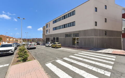 Neptuno Suite Playa: Green, Leaf, Plant, Tree, Biome, Grass, Leisure, Woody Plant, Urban Design, Tints And Shades