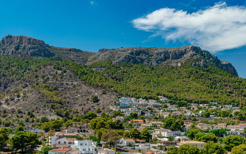 Mascarat: Green, Leaf, Plant, Tree, Biome, Grass, Leisure, Woody Plant, Urban Design, Tints And Shades