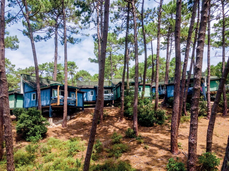 Accommodation:&nbsp;Les Cavales 642.3