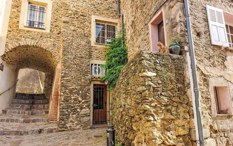 Le Vent D'Est: Window, Building, Brick, Facade, Plant, Stone Wall, Wood, Brickwork, Road Surface