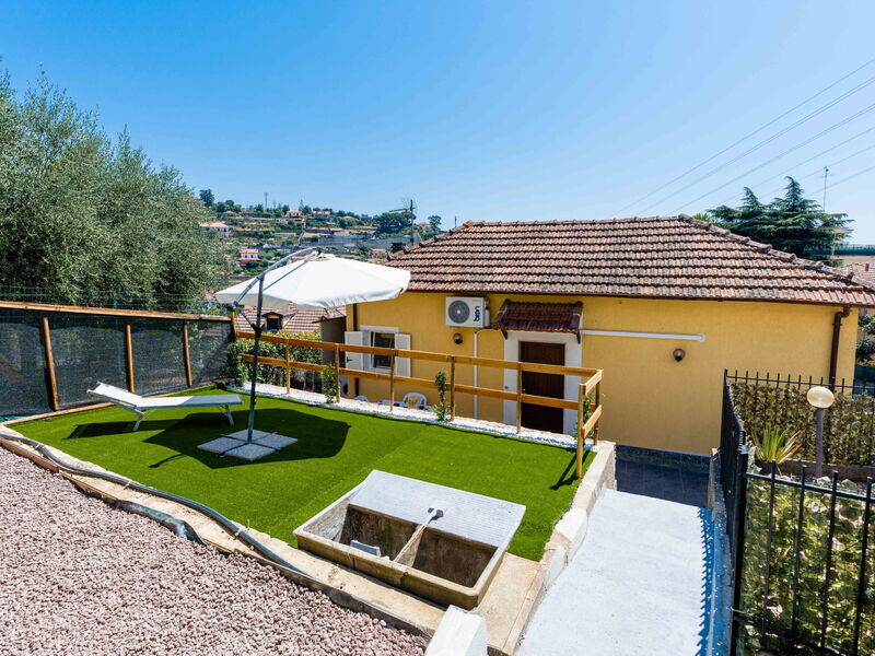 Casa Mimosa