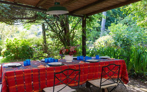Il Giardino di Eugenia: Plant, Table, Furniture, Shade, Outdoor Furniture, Tree, Tablecloth, Outdoor Table, Chair, Rectangle