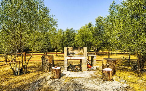 Grotta Porcina: Racquet Sport, Woodland, Park, Net, Grove