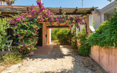 Le Palme: Sky, Snow, Mountain, Building, World, Slope, House, Natural Landscape, Freezing, Landscape