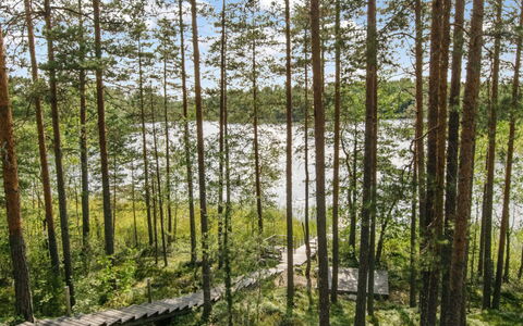 Karhupirtti: Leaf, Tree, Natural Environment, Green, Wood, Vegetation, Forest, Grove, Plant Community