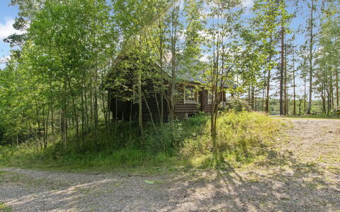 Karhupirtti: Tree, Natural Environment, Wood, Vegetation, Cottage, Land Lot, Plant Community, Rural Area, Home, Woodland