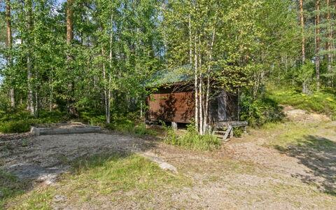 Karhupirtti: Tree, Natural Environment, Leaf, Wood, Plant Community, Forest, Woodland, Trunk, Grove