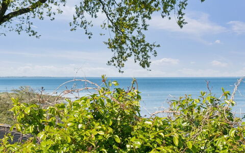 Titta - 10M to the Fjord: Blue, Shrub, Cottage, Groundcover, Garden, Estate, Shade, Landscaping, Farmhouse, Eco Hotel