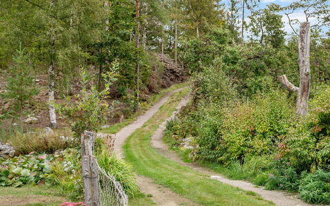 Blistorp: Plant, Plant Community, Natural Landscape, Branch, Tree, Grass, Thoroughfare, Slope, Woody Plant, Road Surface