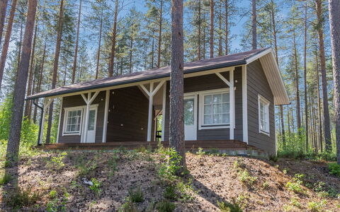Kotaniemi: Wood, Cottage, Home, Siding, Log Cabin, Woodland, Forest, Garden Buildings, Hardwood, Porch