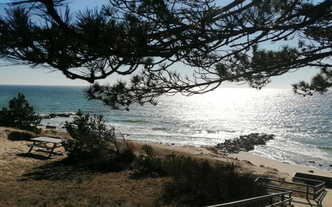 Yari - 50M from the Sea: Body Of Water, Wood, Horizon, Coast, Beach, Coastal And Oceanic Landforms, Sea, Summer, Landscape, Shore
