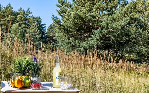 Dagny - 520M from the Sea: Red, Tableware, Serveware, Drinkware, Dishware, Food