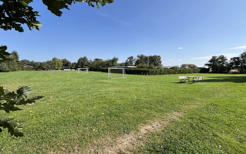 Christian - 600M from the Sea: Sky, Blue, Daytime, Tree, Grass, Grassland, Plain, Shrub, Land Lot, Lawn