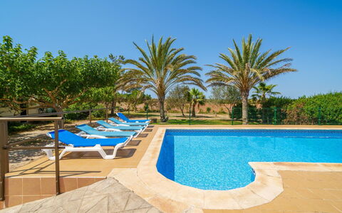 Cas Forner: Sky, Water, Plant, Azure, Rectangle, Swimming Pool, Shade, Outdoor Furniture, Tree, Arecales
