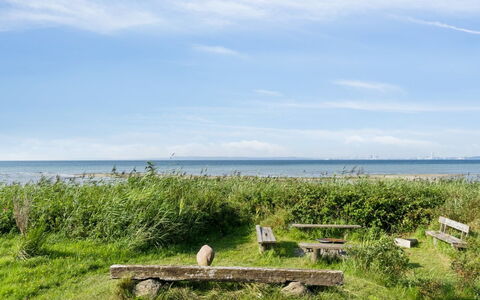 Nilson - 50M from the Sea: Grass, Wood, Rural Area, Shrub, Cottage, Roof, Plain, Land Lot, Home, Groundcover