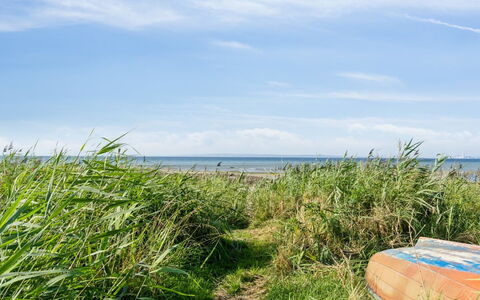 Nilson - 50M from the Sea: Grass, Wood, Rural Area, Shrub, Cottage, Roof, Plain, Land Lot, Home, Groundcover