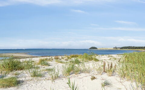 Nilson - 50M from the Sea: Grass, Wood, Rural Area, Shrub, Cottage, Roof, Plain, Land Lot, Home, Groundcover
