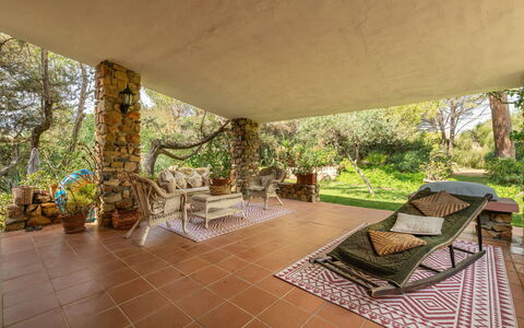 Atzeni: Plant, Furniture, Property, Chair, Shade, Outdoor Furniture, Interior Design, Tree, Wood, Floor