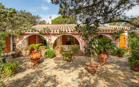 Atzeni: Plant, Property, Sky, Building, Tree, Land Lot, Cloud, Arecales, House, Landscape