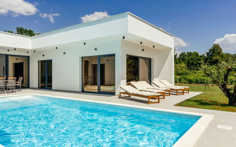 Olive: Water, Sky, Swimming Pool, Property, Cloud, Building, Plant, Azure, Shade, Architecture