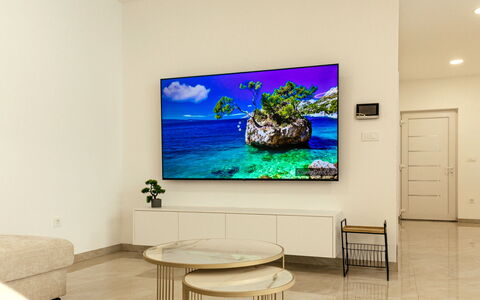 Olive: Furniture, Building, Lighting, Interior Design, Rectangle, Table, Plant, Flooring, Living Room, Real Estate