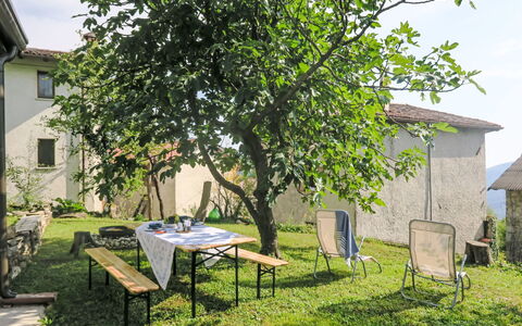 Delle Maschere: Plant, Table, Property, Furniture, Window, Building, Shade, Architecture, Sky, Tree