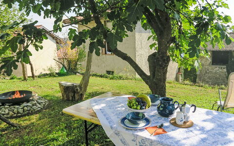 Delle Maschere: Table, Plant, Furniture, Nature, Botany, Leaf, Tableware, Tree, Tablecloth, Outdoor Furniture